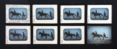 Leland Stanford Jr. sul suo pony Gypsy da Eadweard Muybridge